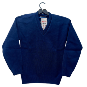 Essential V-Neck School Knit (US Cut) – Custom Color Series
